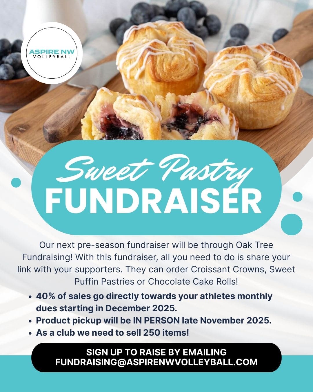 Green And Blue Modern Fish Fundraiser Service Instagram Post